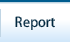 Report