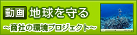 �n�������[����] �`���Ђ̊��v���W�F�N�g�`
