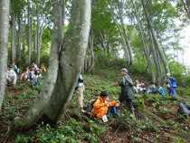 森林体験教室の風景