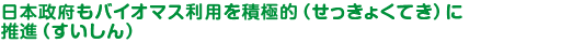 日本政府もバイオマス利用を積極的（せっきょくてき）に推進（すいしん）