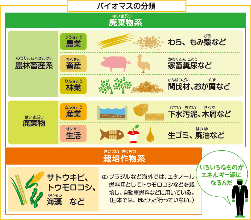 バイオマス燃料の原料