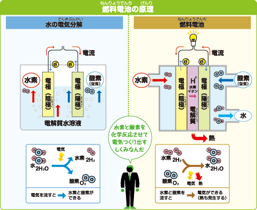 燃料電池（ねんりょうでんち）のしくみ