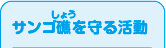 サンゴ礁（しょう）を守る活動　