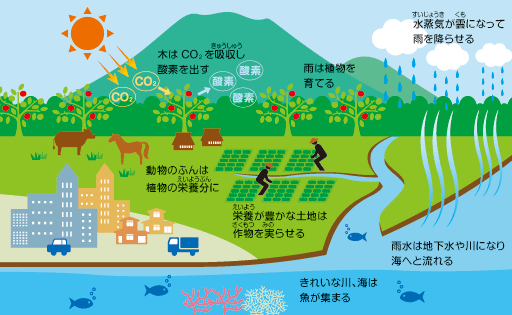 地球の自然環境はつながっている