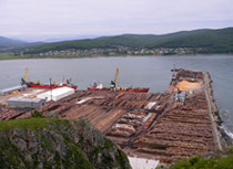 原木や製材が船積みされる木材コンビナートの港（ロシア）