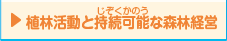 植林活動と持続可能（じぞくかのう）な森林経営　