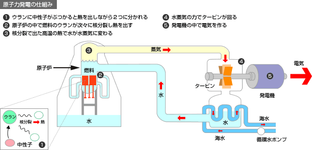 原子力発電の仕組み