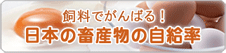 飼料でがんばる！　日本の畜産物の自給率