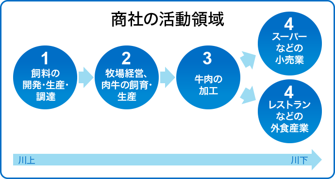 商社の活動領域 1飼料の開発・生産・調達 2牧場経営、肉牛の飼育・生産 3牛肉の加工 4スーパーなどの小売業 4レストランなどの外食産業